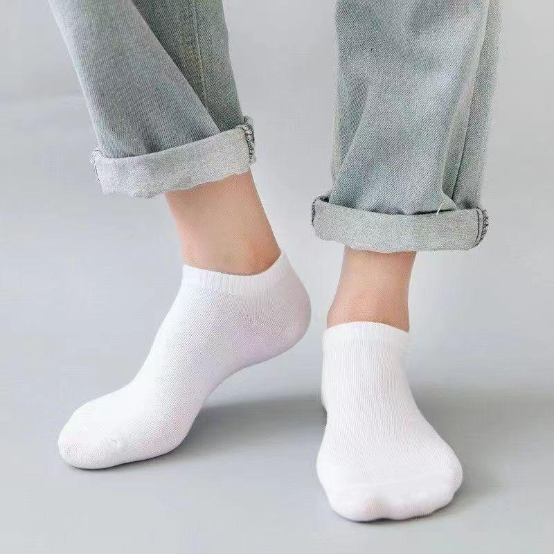 Men's No-Show Socks Cotton Socks (5 pairs)